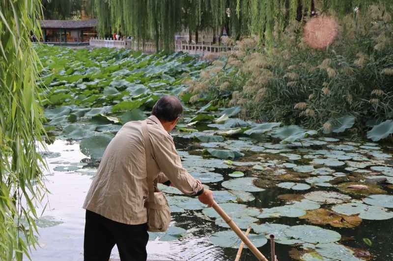 春游随拍1 18