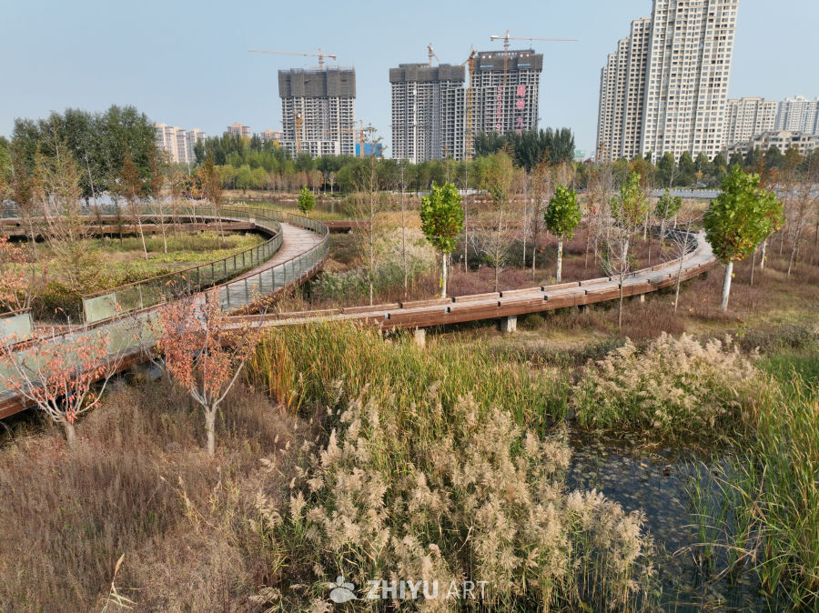 城市湿地公园