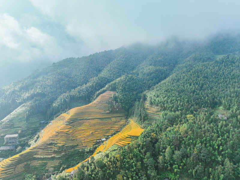 桂林龙脊梯田风光 12