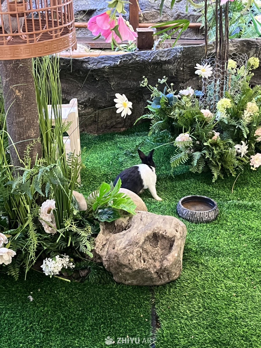 兔子的花园时光