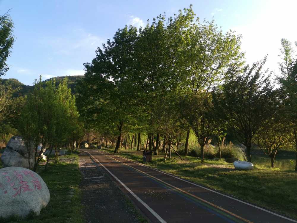 晨光