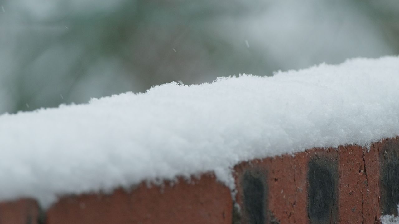 冬天冬季下雪花白雪皑皑 14