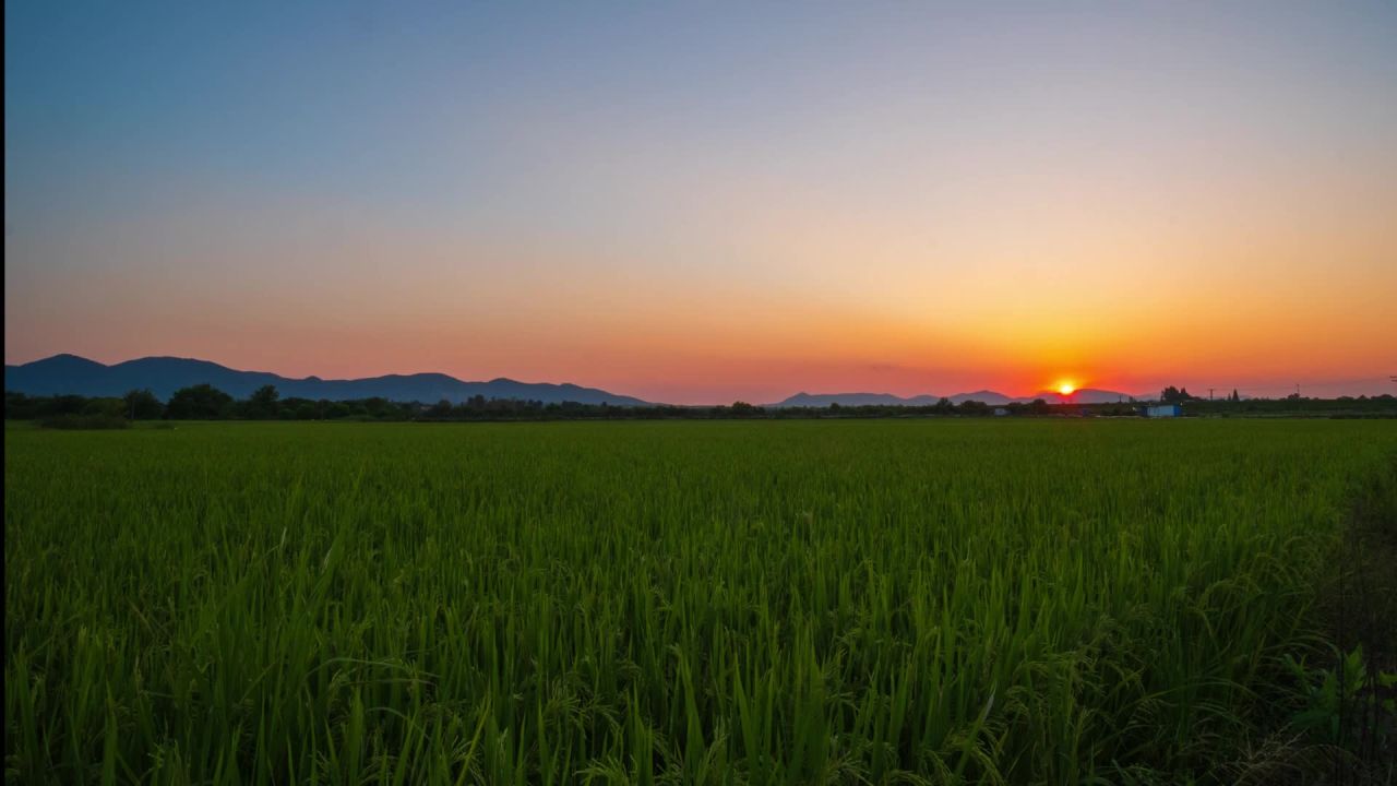 清晨早晨太阳日出延时摄影 10