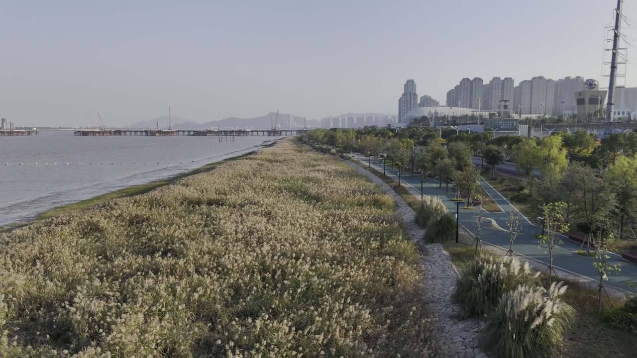 江边公园 11