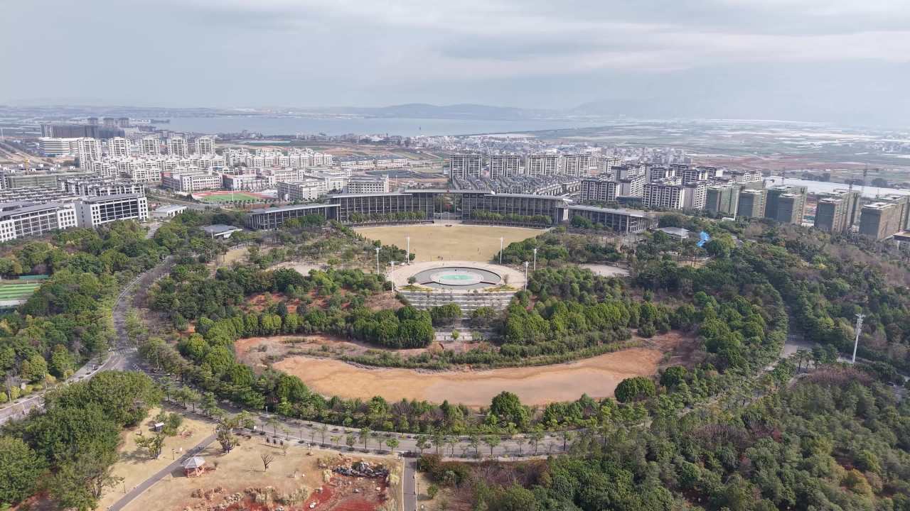 城市绿肺：现代都市中的自然与建筑