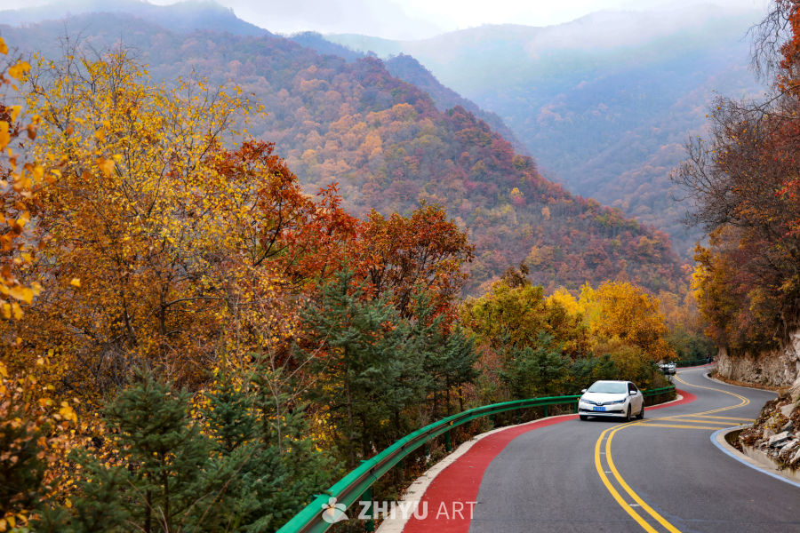 兰州七里河区云顶山秋景 4