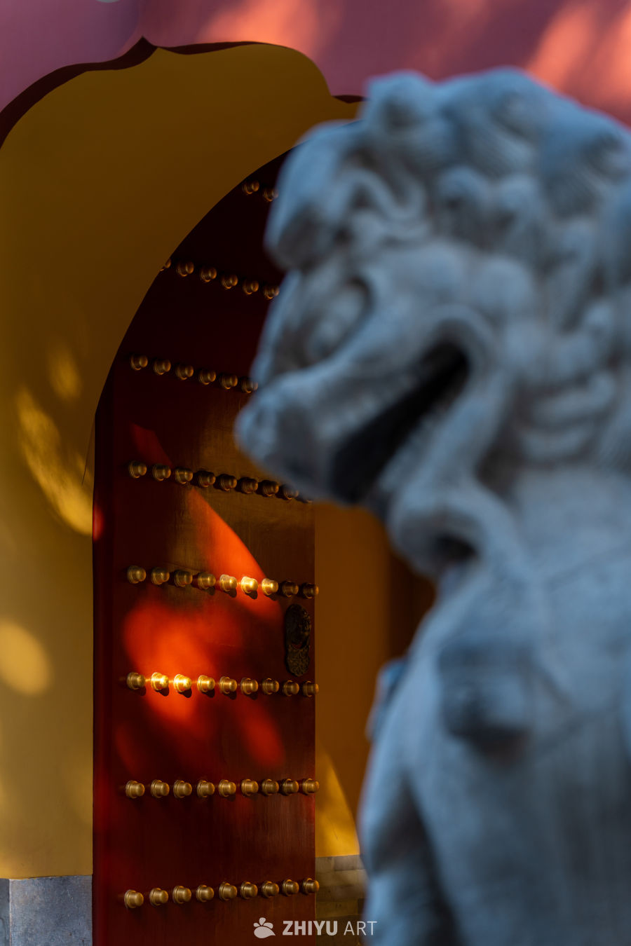 北京中山公园银杏