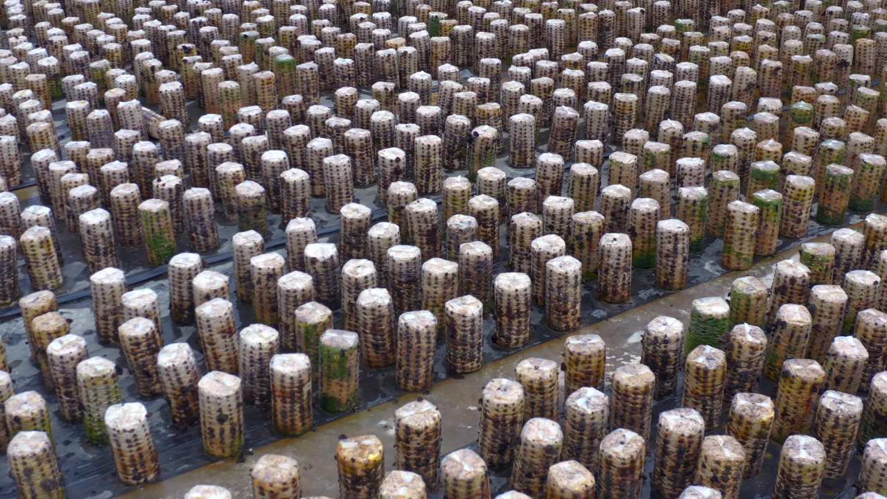 千篇一律的建筑群