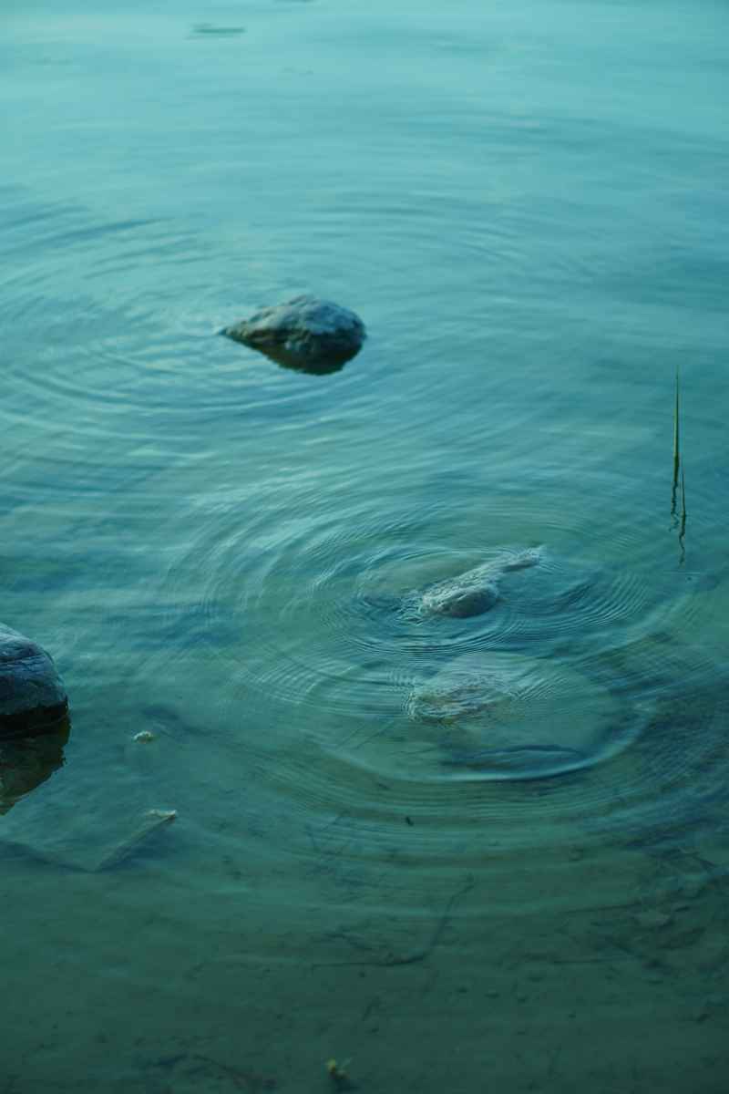水波荡漾