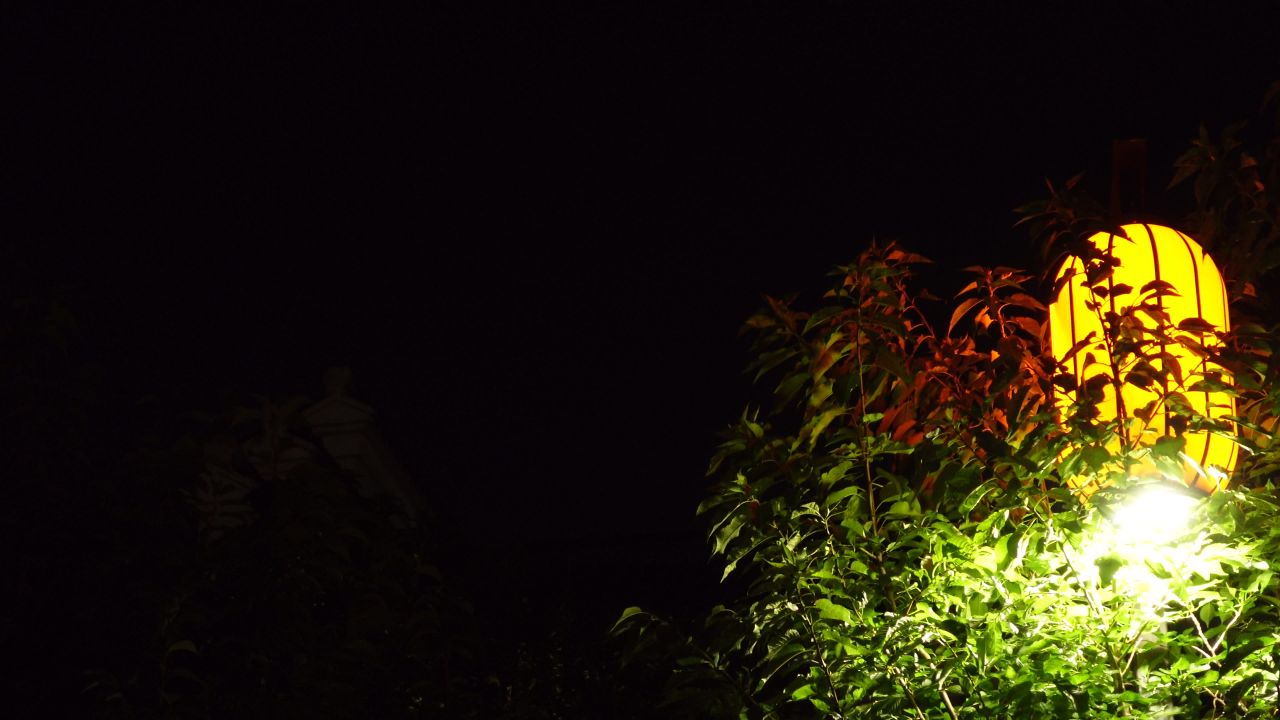 夜晚的路灯