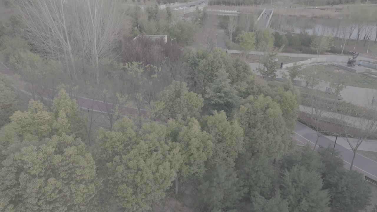 城市公园的宁静时光