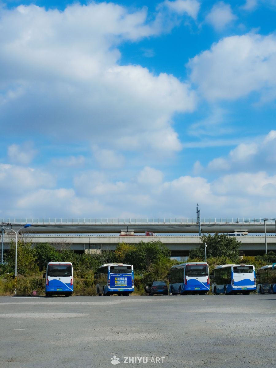 蓝天下的公交车队列