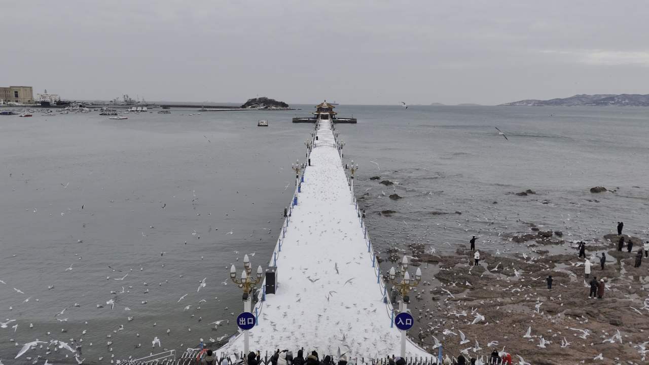 青岛市南老城区栈桥海边雪景航拍 5
