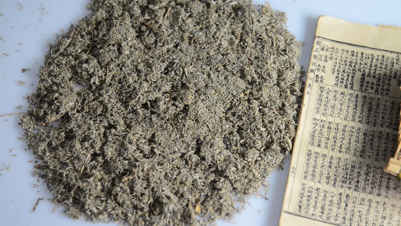 中药材茵陈 12