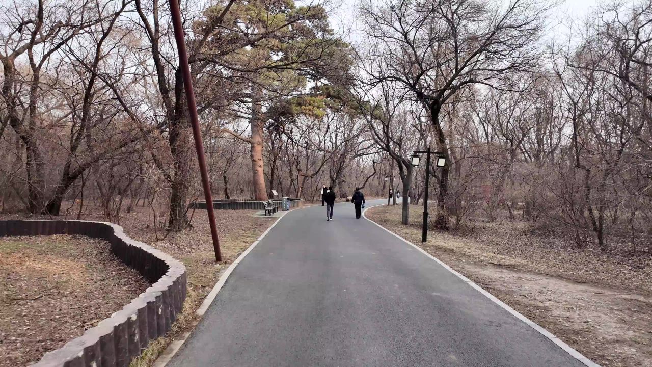 沈阳北陵公园 24