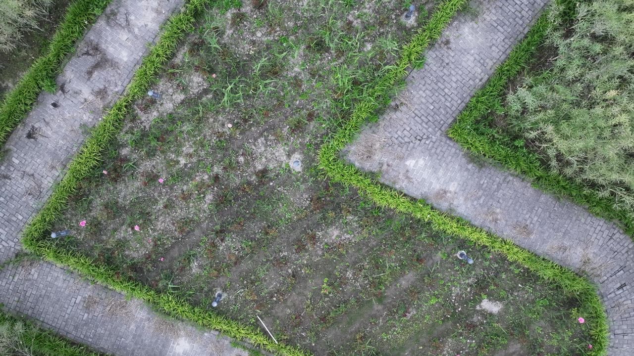 4K航拍上海金山区山阳田园 10