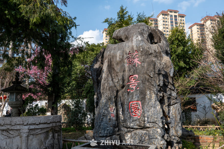 苏景园 71