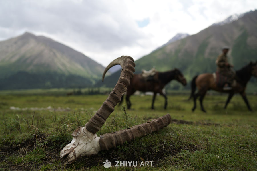 山间骑马与羊角