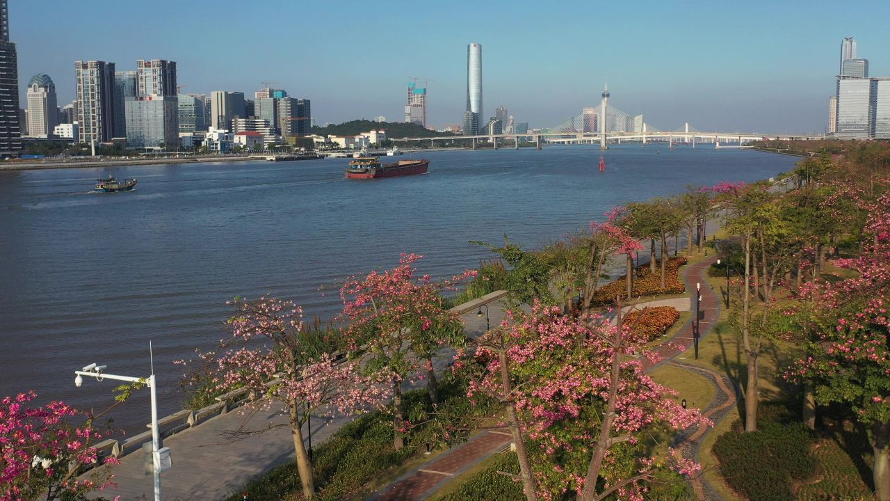 横琴花海长廊 3