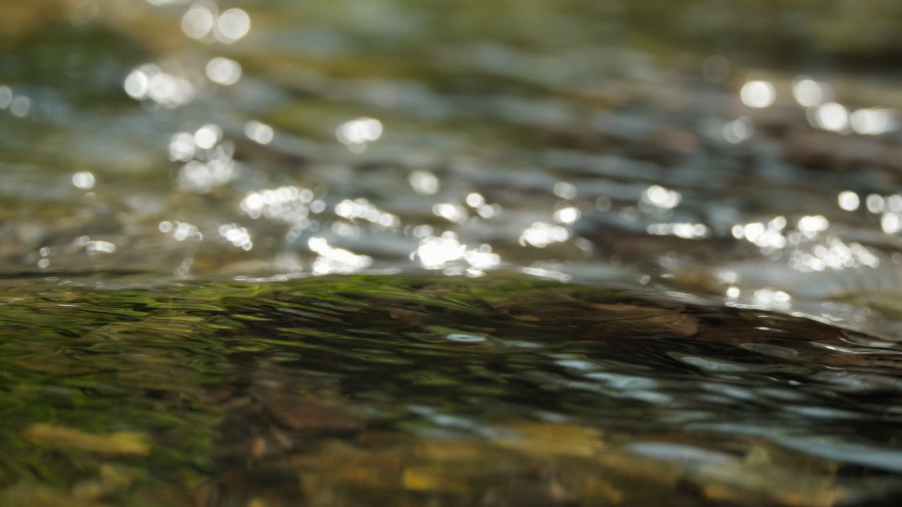 清澈山泉水温泉矿泉水小溪山涧 40