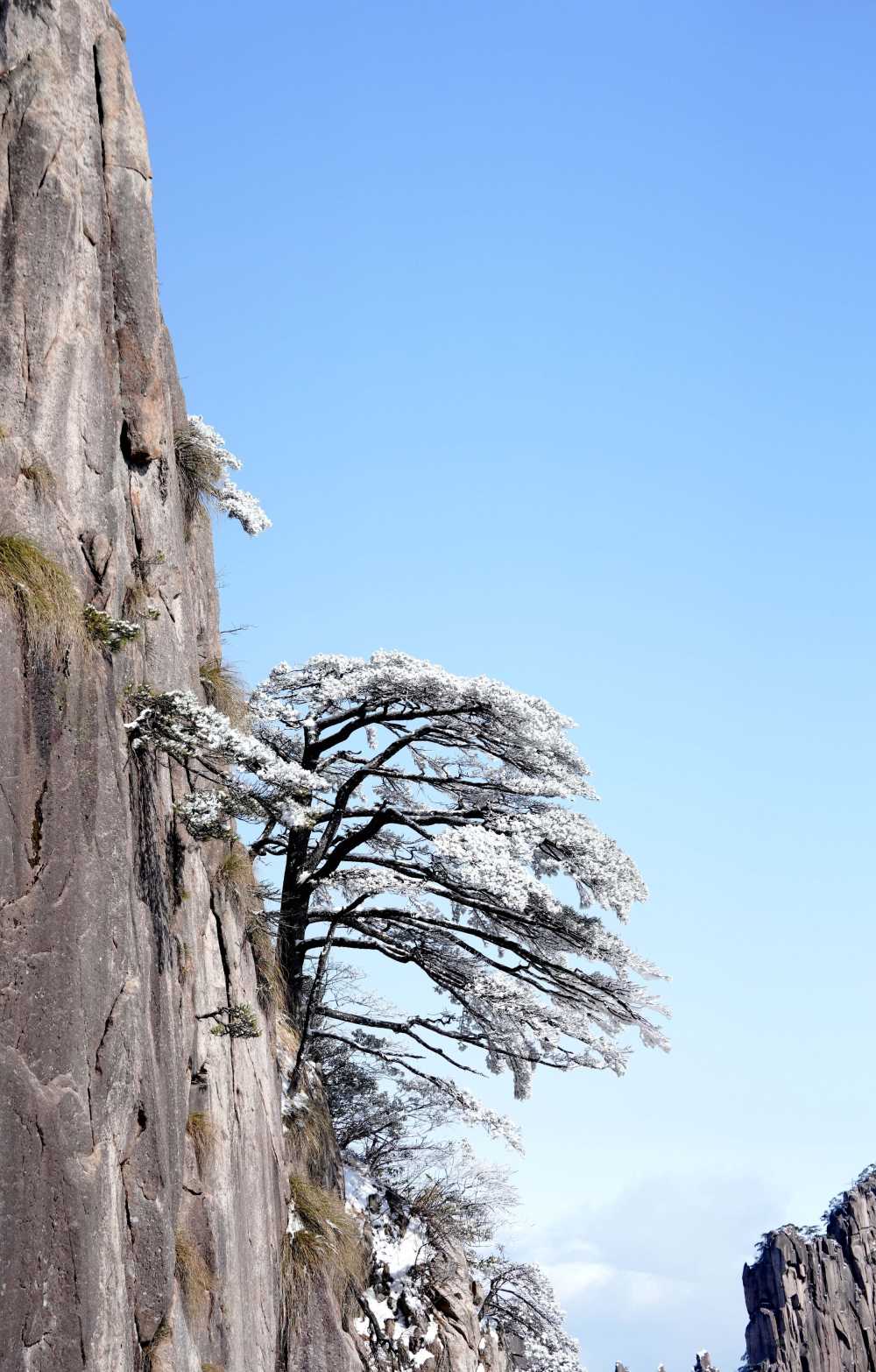 雪落黄山，雾凇云海——山篇