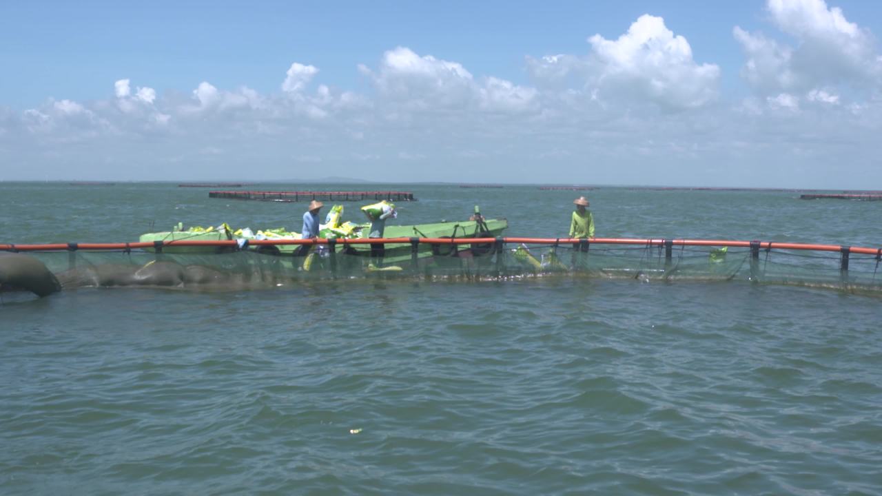 海洋牧场深海养殖