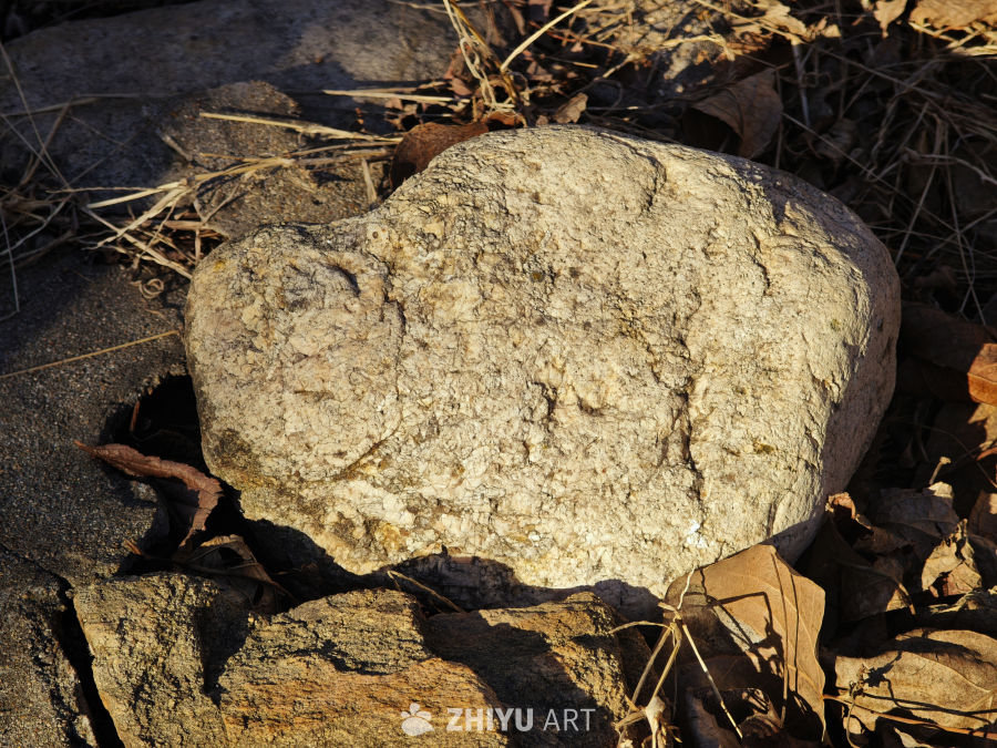 秋日岩石与枯叶