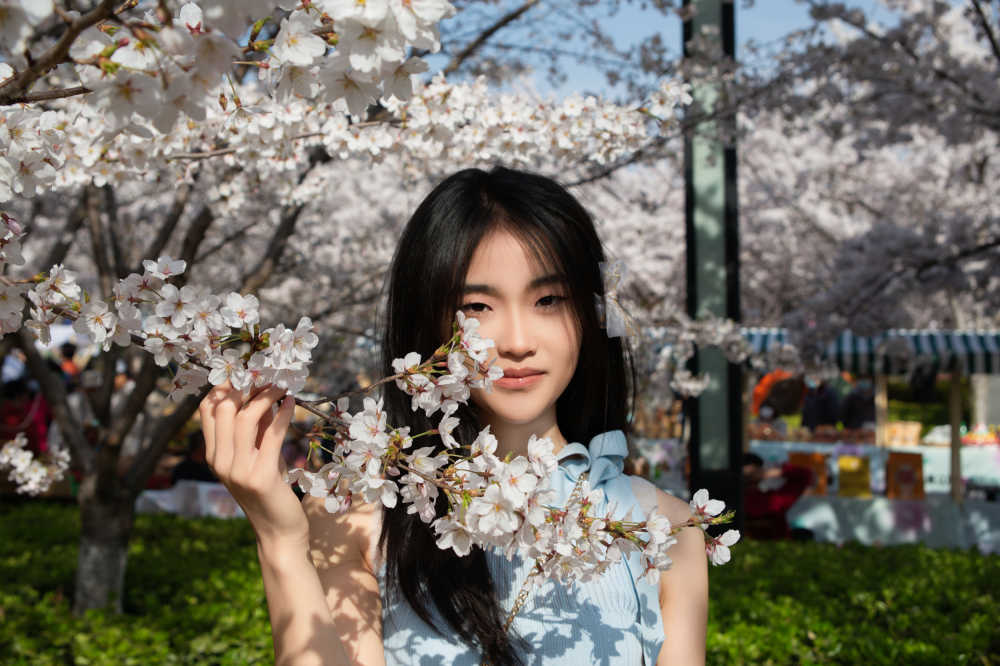 樱花少女