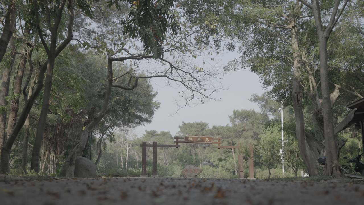 寺庙 9