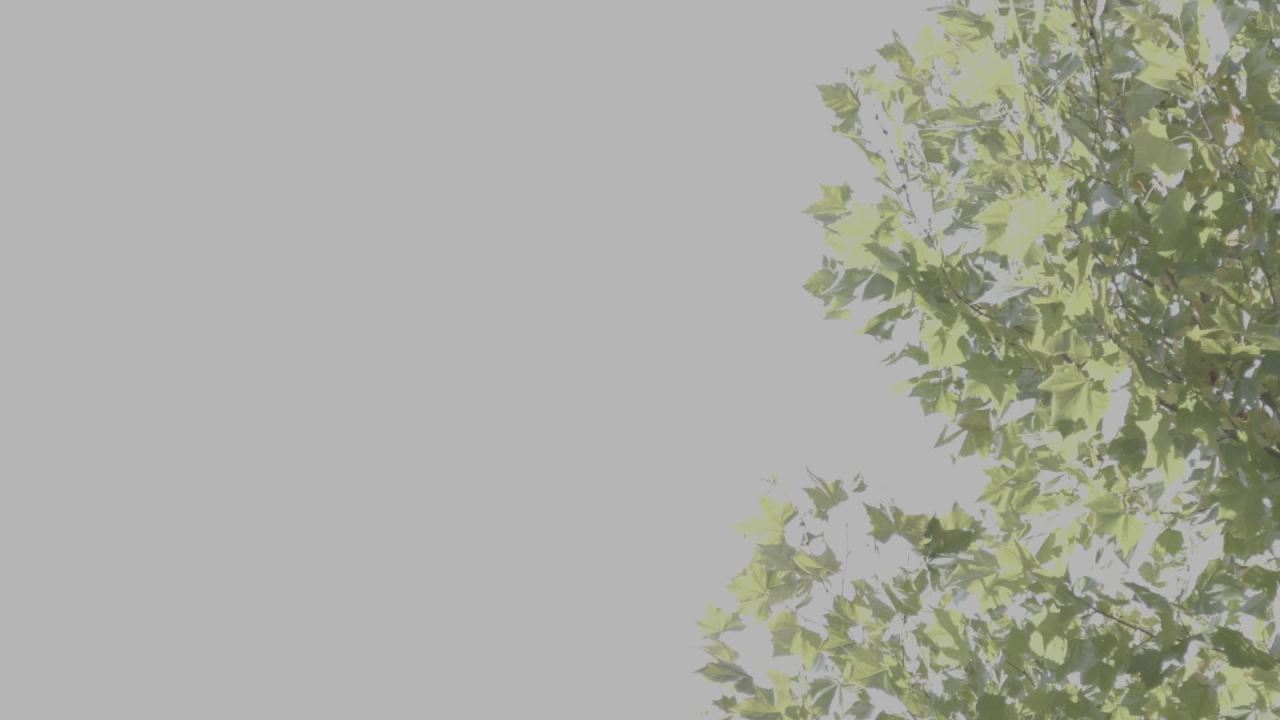 【实拍样片】佳能R7相机实拍原片视频 5