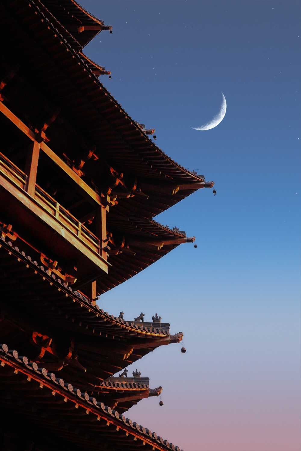 杭州半山森林公园夜景 6