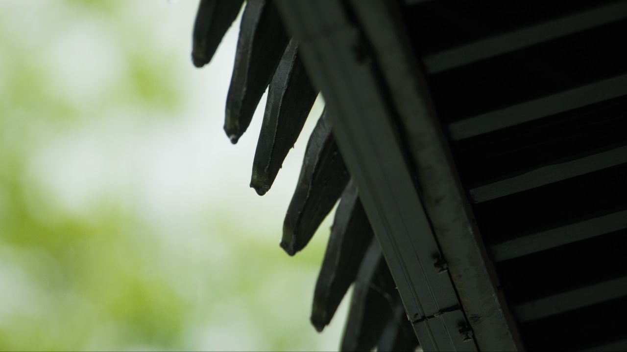 清明下雨阴天4K实拍空镜