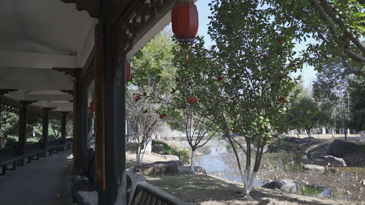 冬天的梅花 21