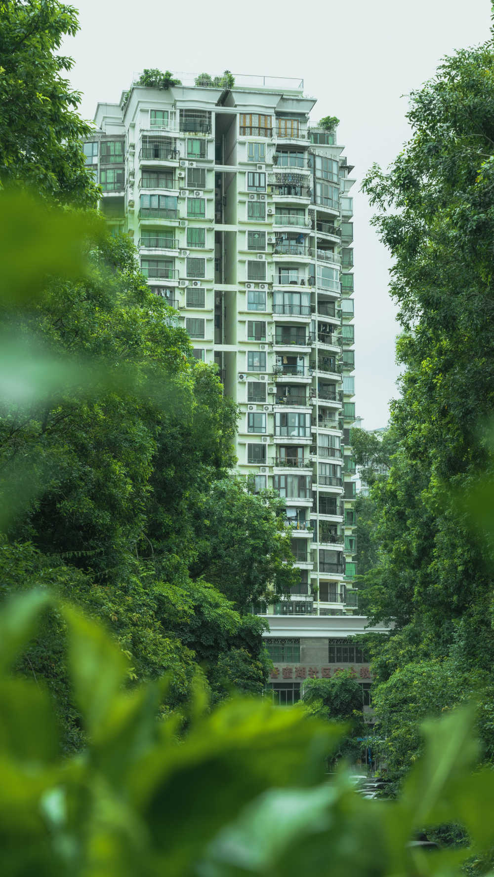 被绿色包围的居民楼