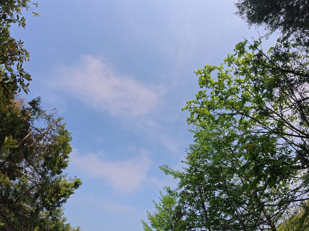 古迹探秘：石雕与自然的和谐