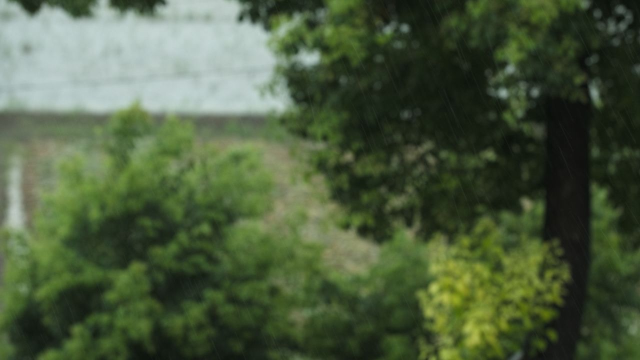 下雨清明谷雨酸雨倾盆大雨蒙蒙细雨 38