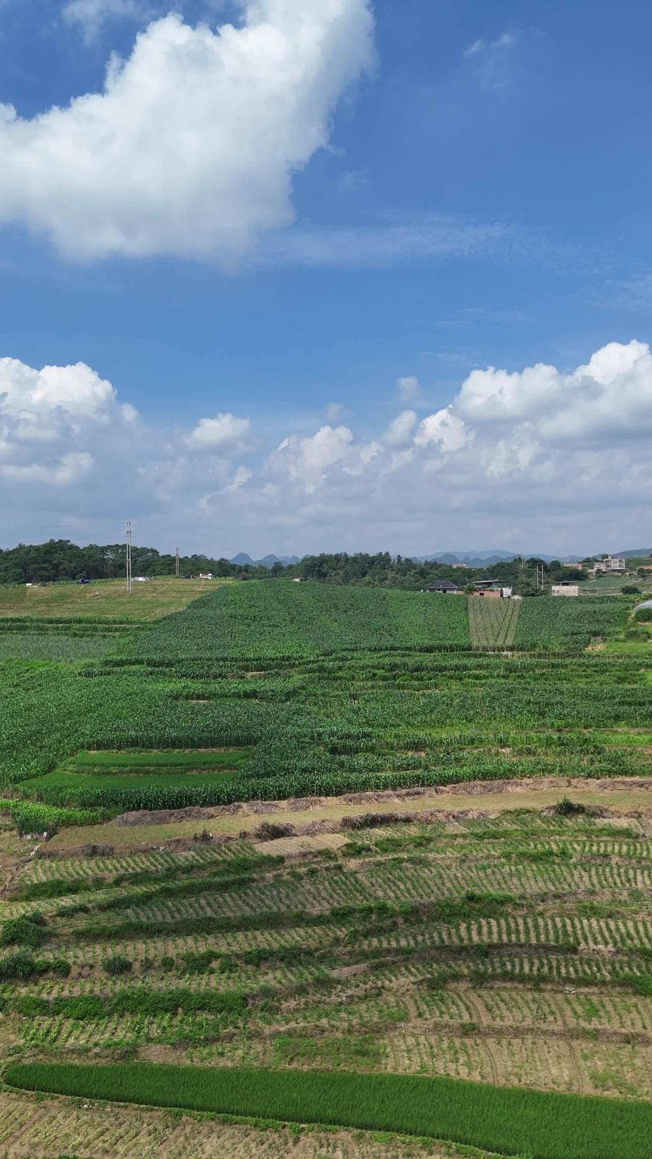 田园风光