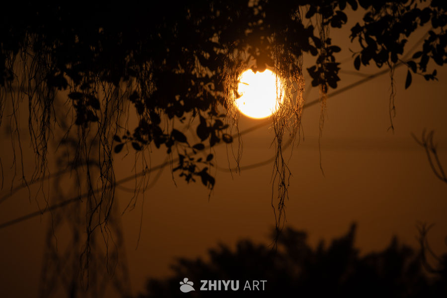 夕阳