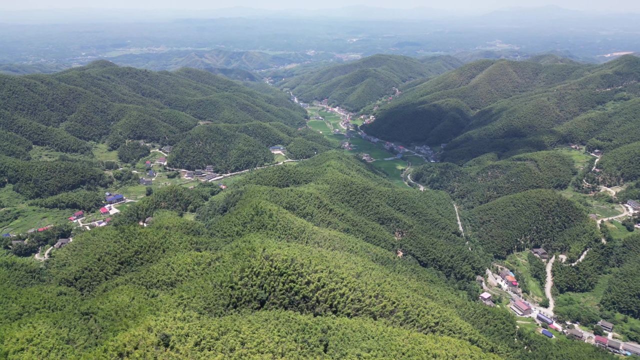 航拍南岳衡山5A景区竹林 