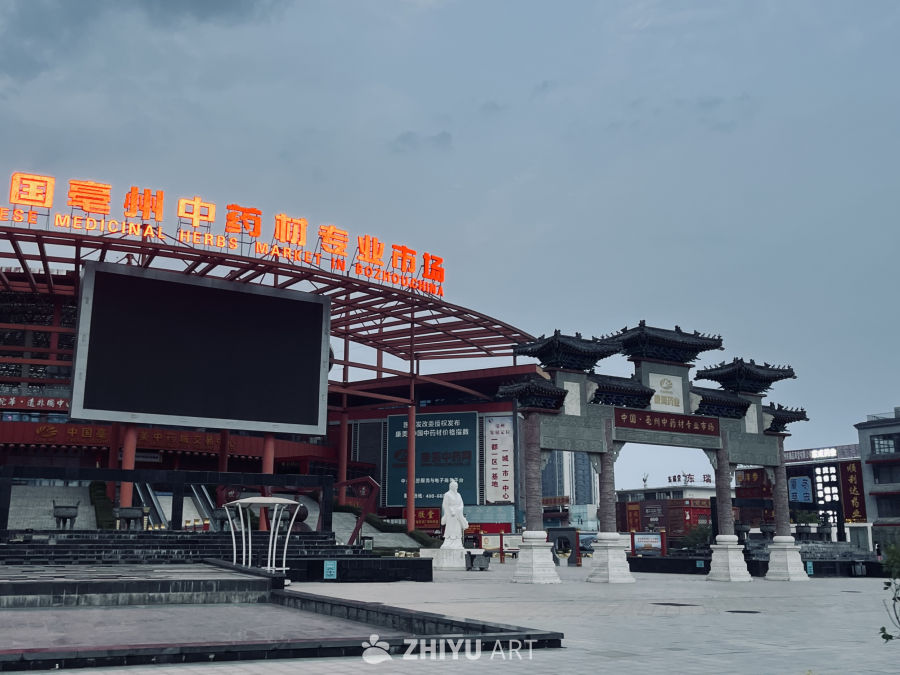 亳州中药专业市场入口