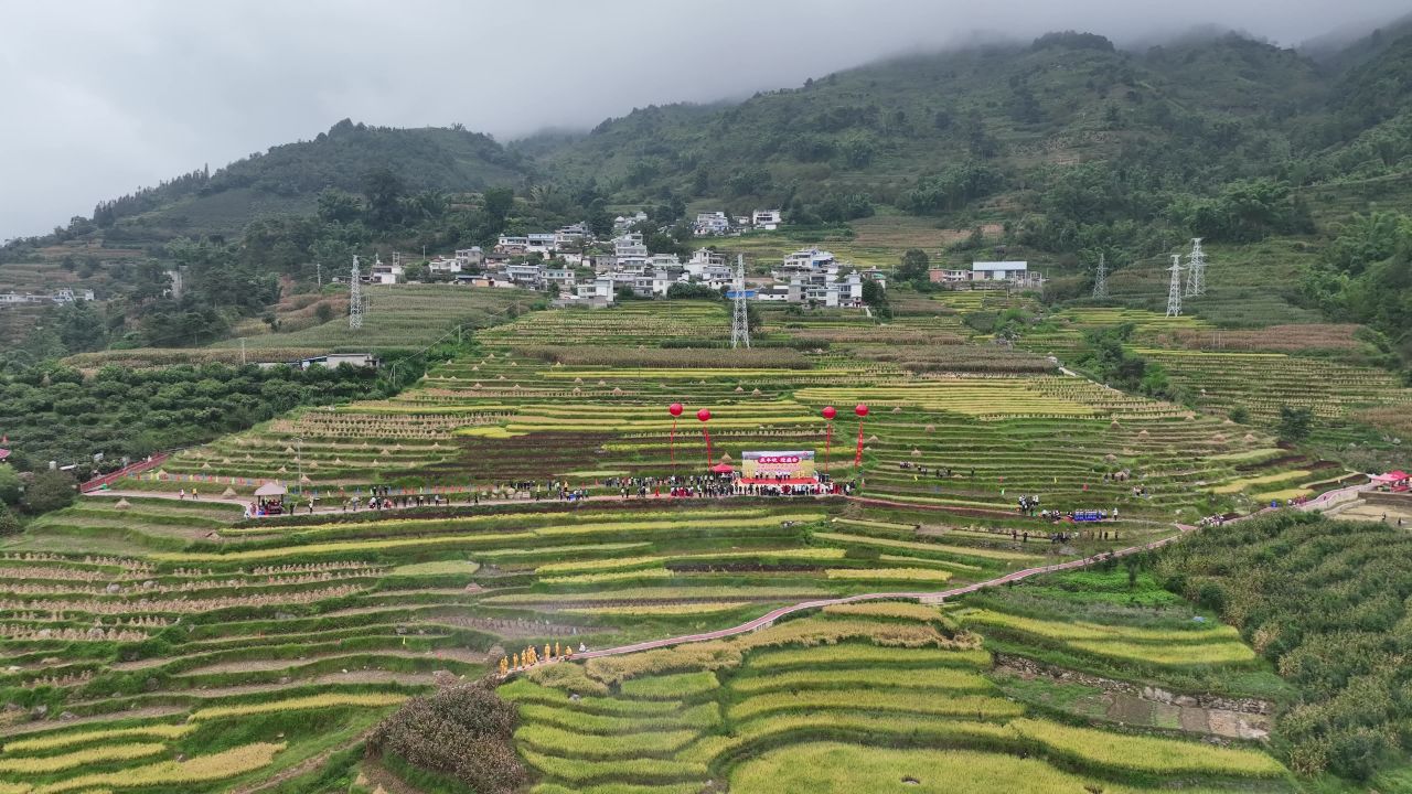 丰收的喜悦 55