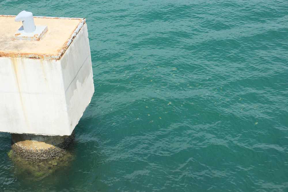 海中鱼群