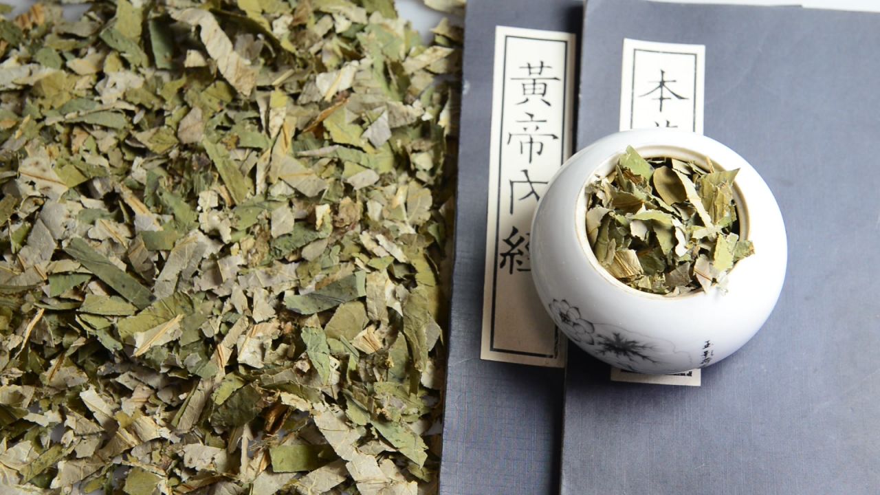 荷叶中药材 6