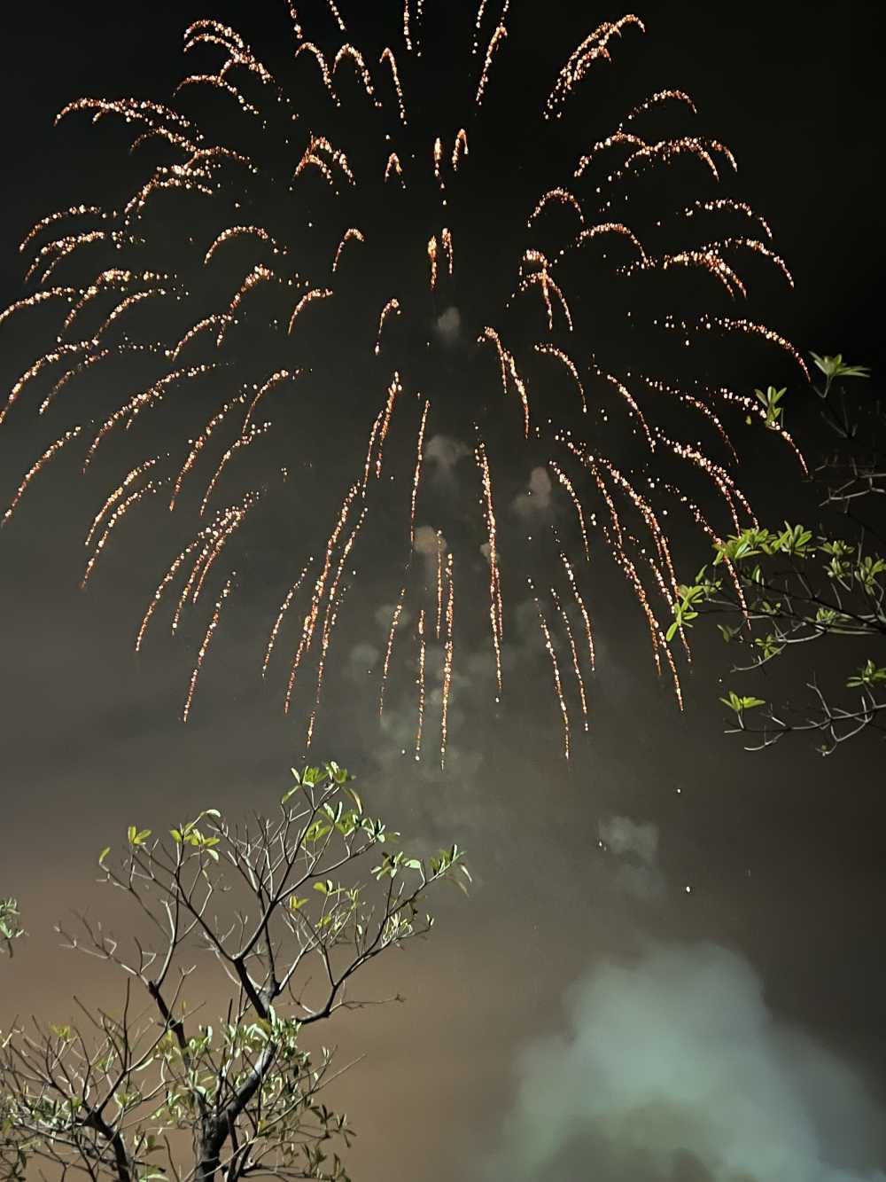 春日的烟花