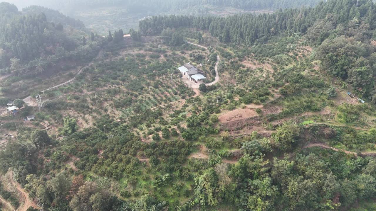 航拍乡村田园风光