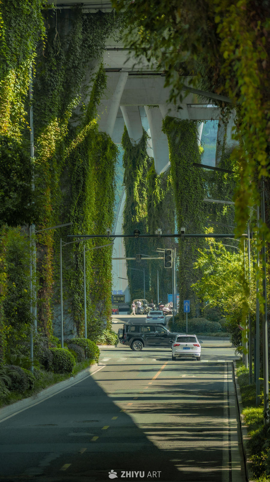 绿意盎然的城市高架桥