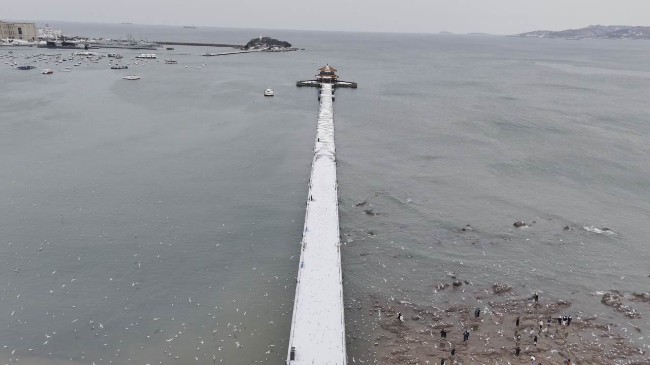 青岛市南老城区栈桥海边雪景航拍 7