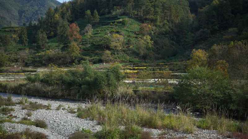 安徽宏村、木坑竹海、塔川秋色、呈坎八卦 23
