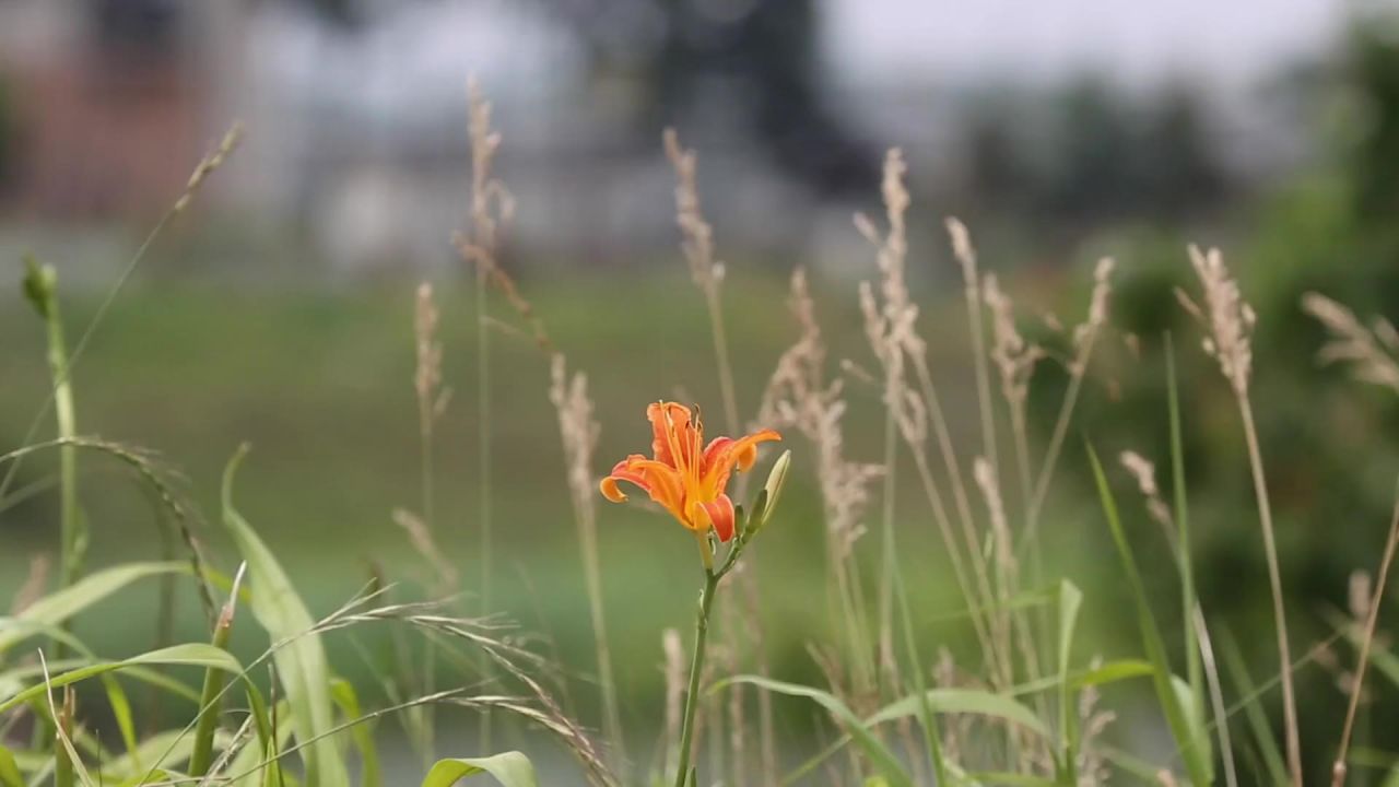 风原来的世纪