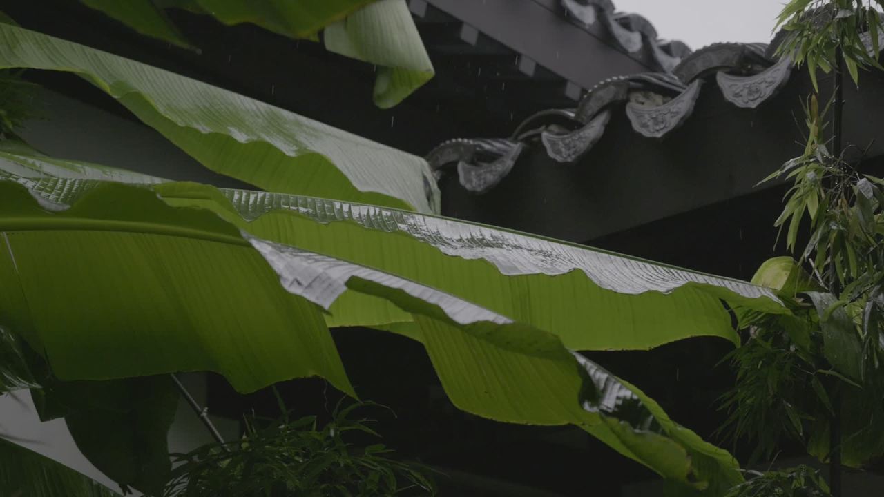 芭蕉